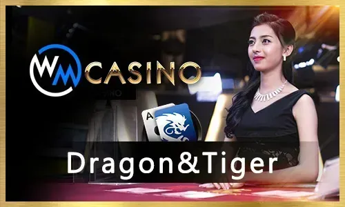 Jili777 Live Casino